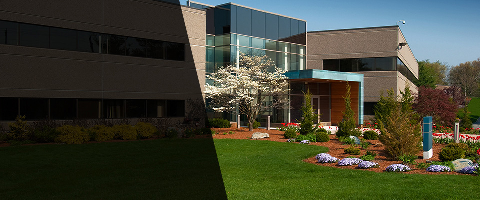 Howey In The Hills Landscapers