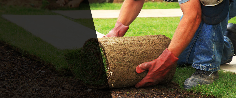 Howey In The Hills Landscapers